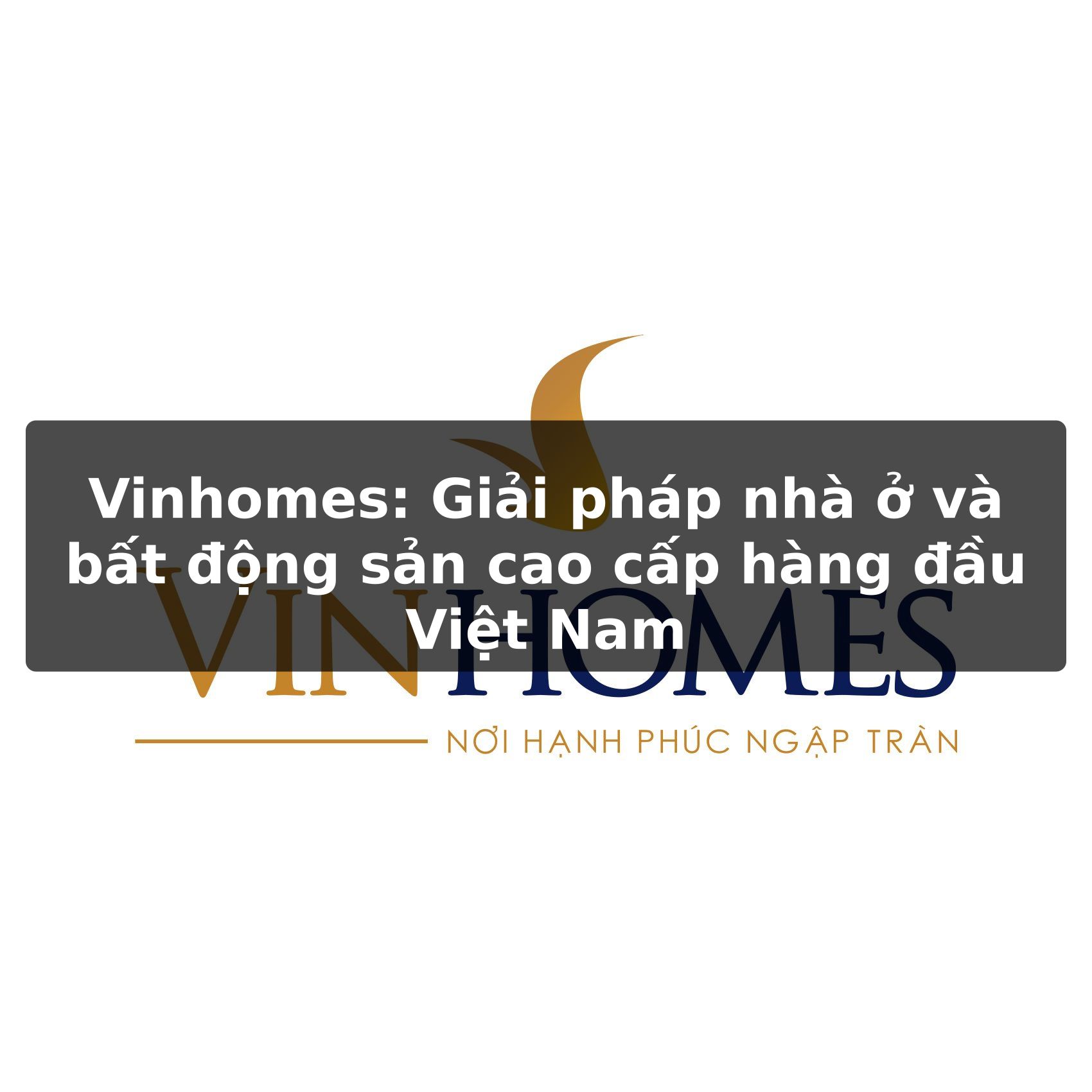 Vinhomes: Giải Pháp Bất Động Sản Cao Cấp, Tiện Nghi Hiện Đại