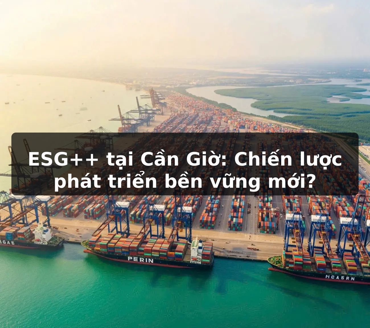 ESG++ tại Cần Giờ: Chiến lược phát triển bền vững mới